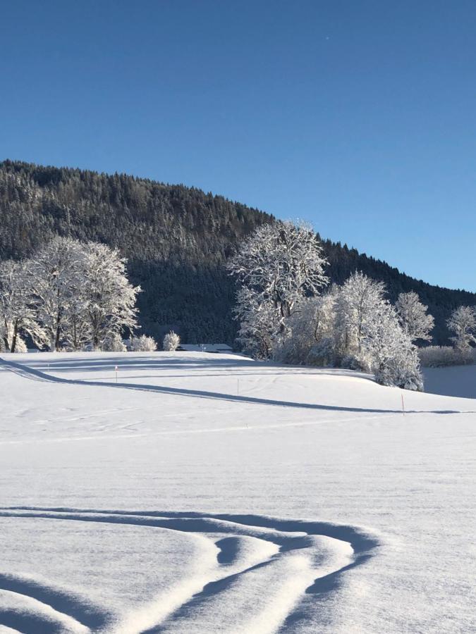Lindenhof Inzell - Fewo Mit Chiemgaukarte Zewnętrze zdjęcie